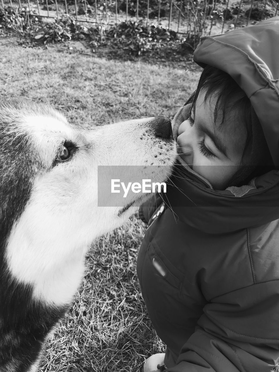 High angle view of baby boy with dog standing on grassy field