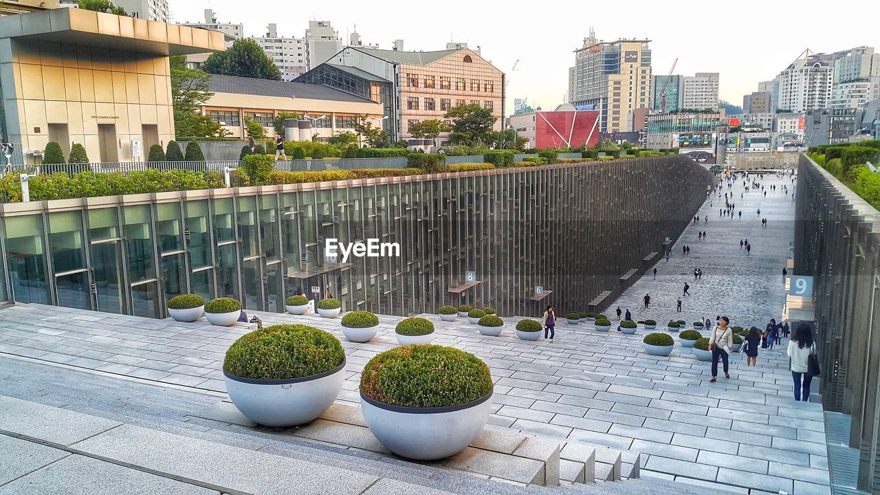 POTTED PLANTS IN CITY AGAINST BUILDING