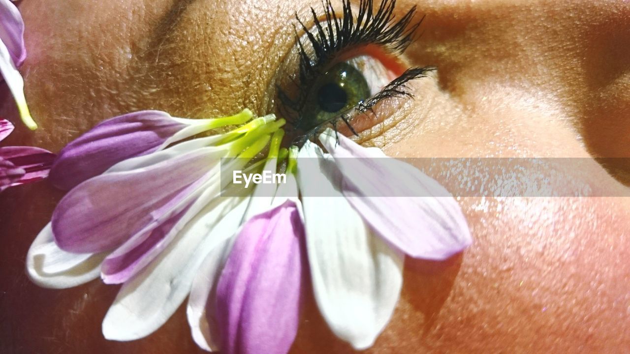 Cropped image of woman with flower petals on her eyesight