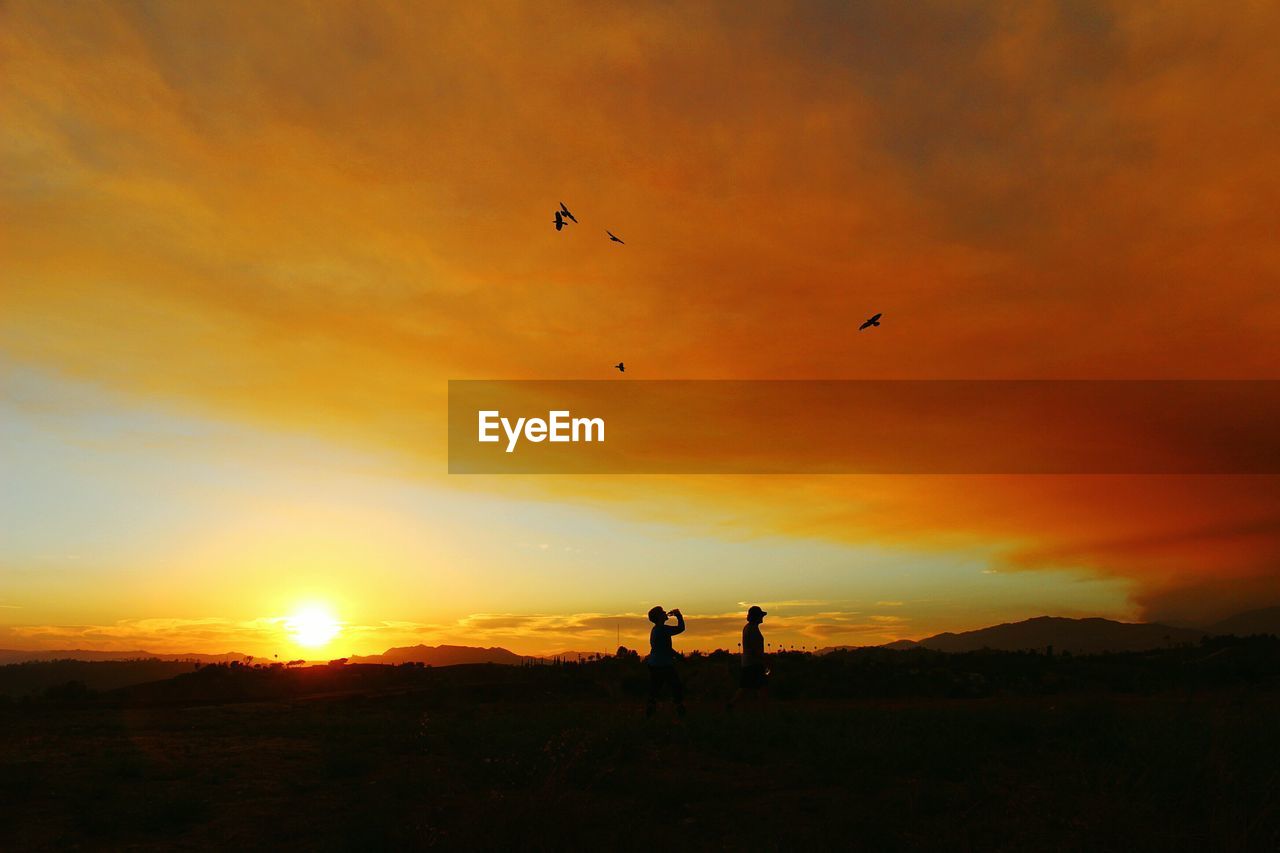 Silhouette landscape at sunset