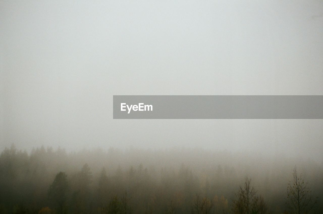  it is very beautiful in karilia especially in autumn. 