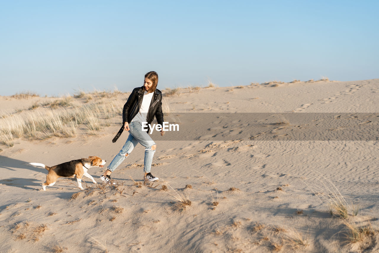 Full length of dog on beach