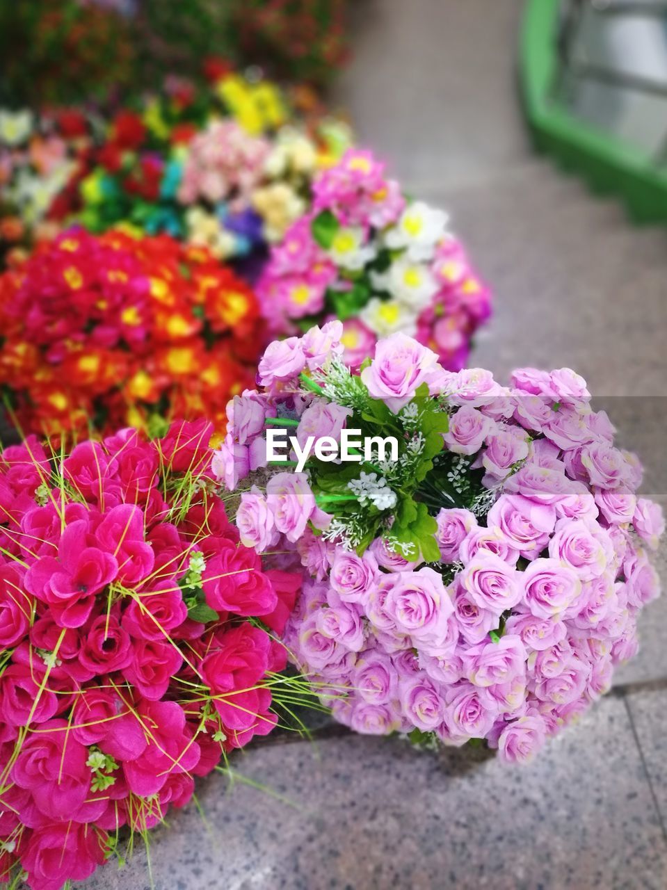 Close-up of multi colored flowers blooming outdoors