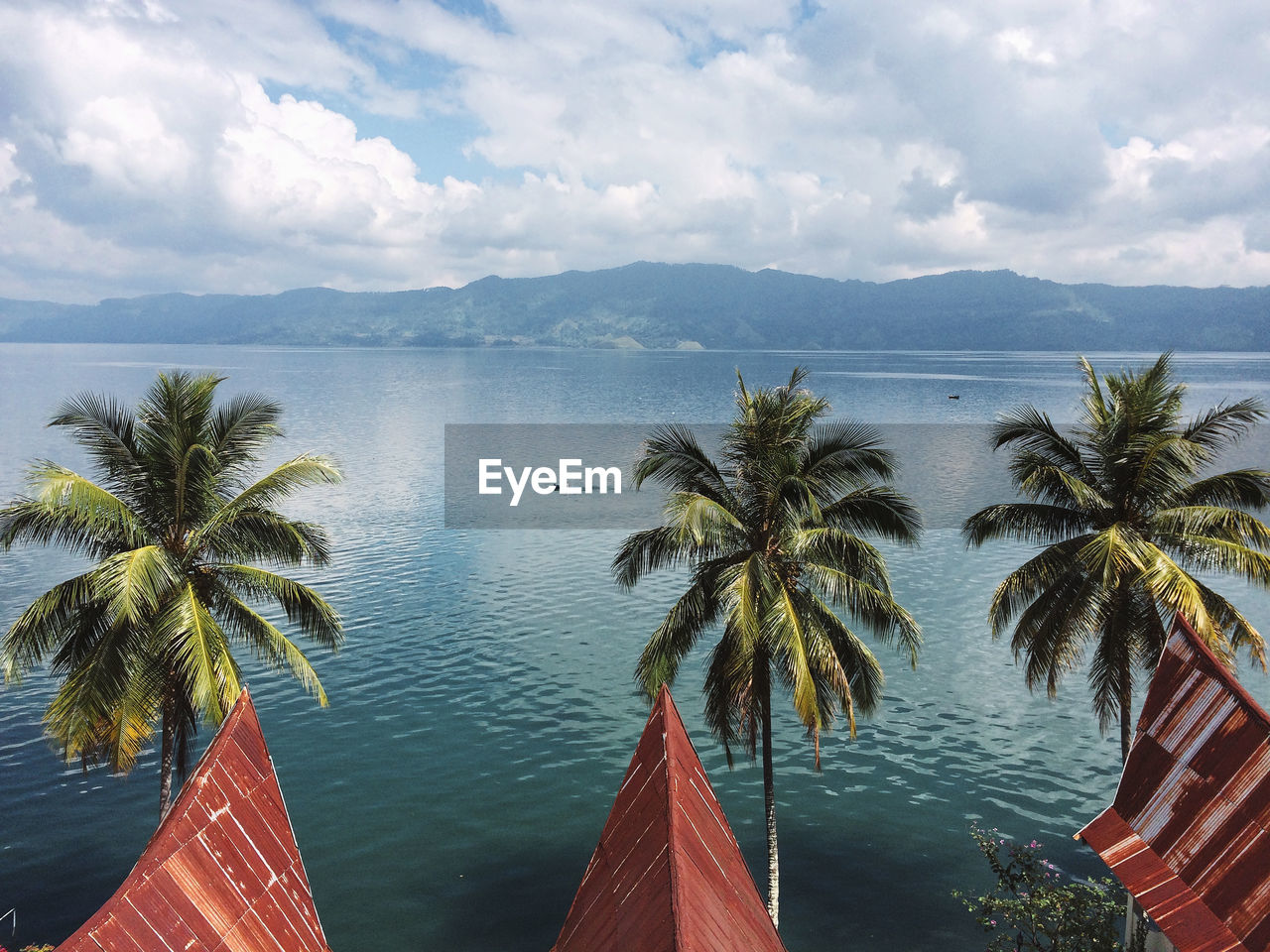 Sumatra  Toba Lake Beauty In Nature Cloud - Sky Day Growth Horizon Over Water Mountain Nature No People Outdoors Palm Tree Scenics Sea Sky Tranquil Scene Tranquility Tree Water