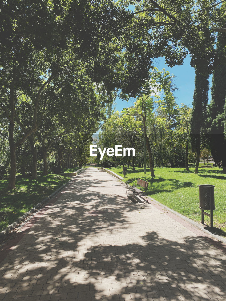 VIEW OF EMPTY ROAD ALONG TREES