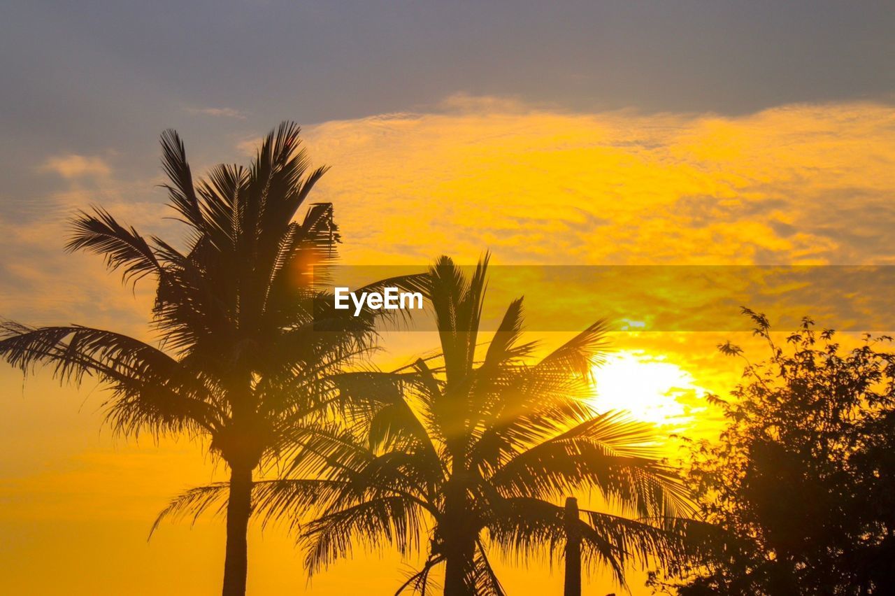 Low angle view of silhouette palm trees against sky during sunset