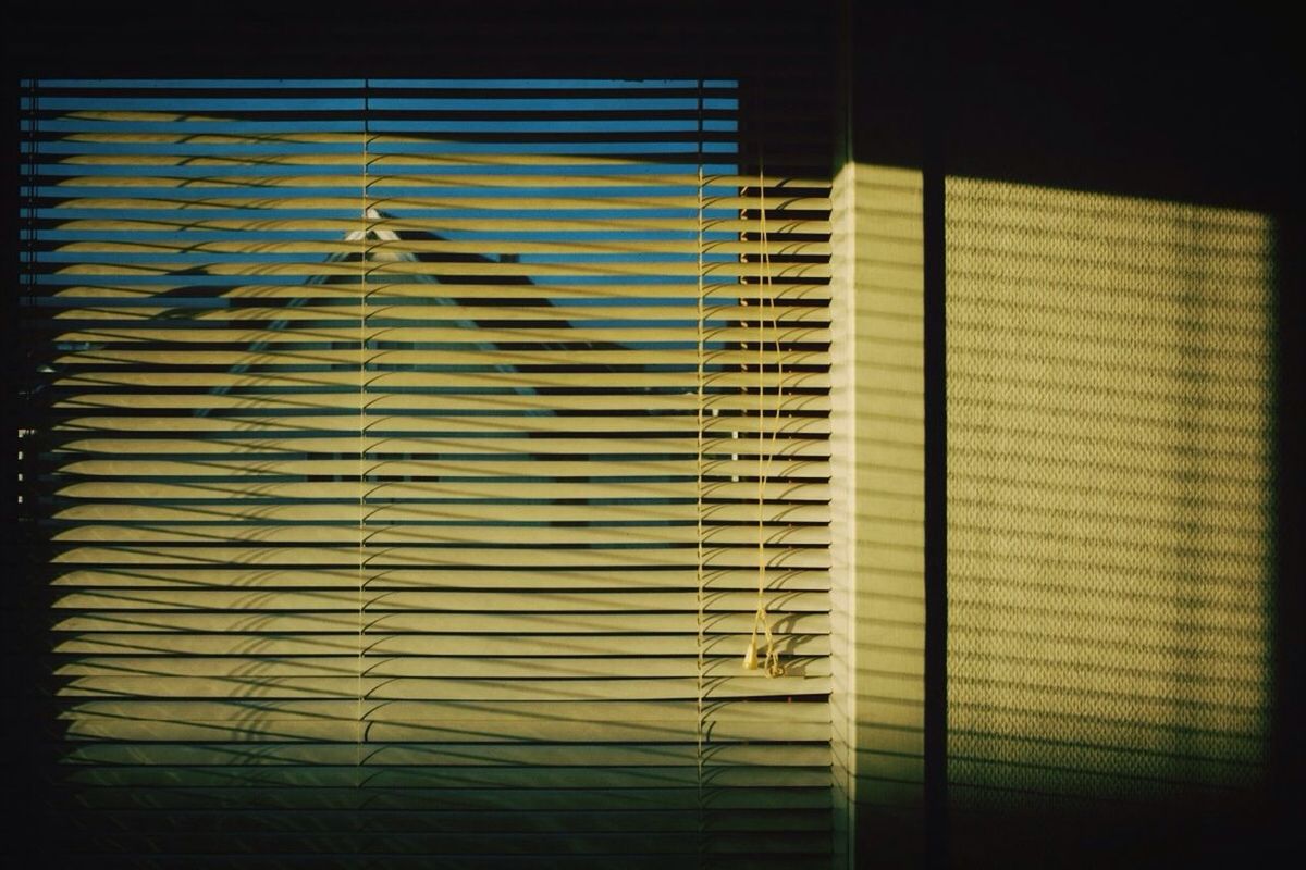 View of window blinds