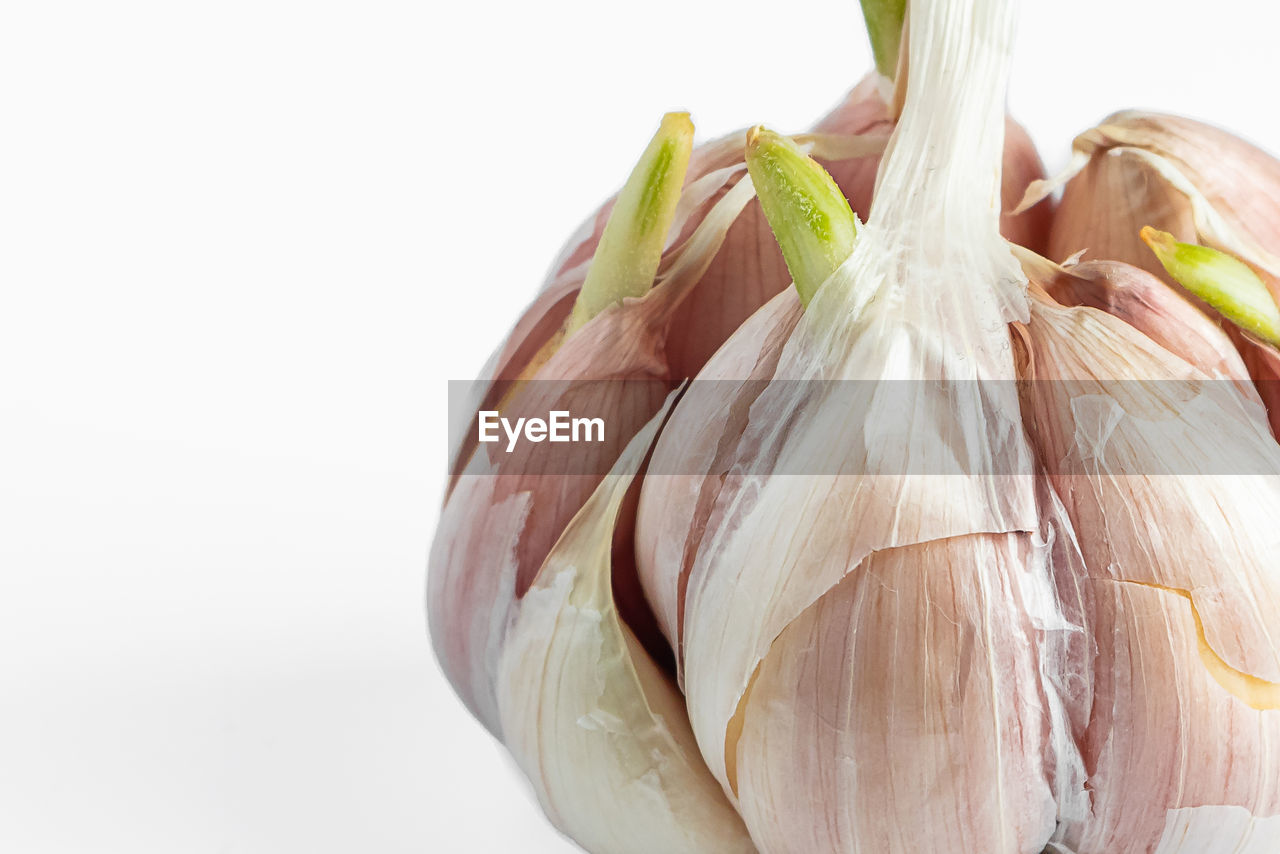food, food and drink, shallot, produce, vegetable, healthy eating, freshness, garlic, wellbeing, ingredient, onion, no people, plant, studio shot, indoors, close-up, white background, raw food, dish, spice, still life, garlic bulb, cut out, organic