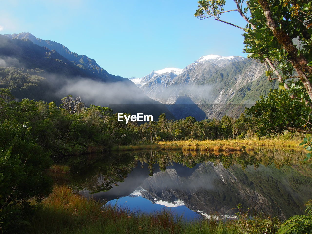 Scenic view of lake in forest during winter