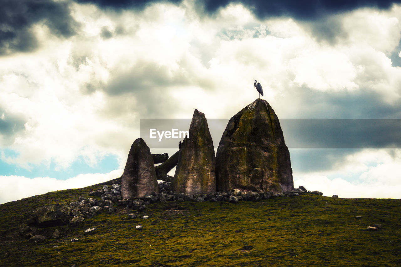 Low angle view of a rock with bird