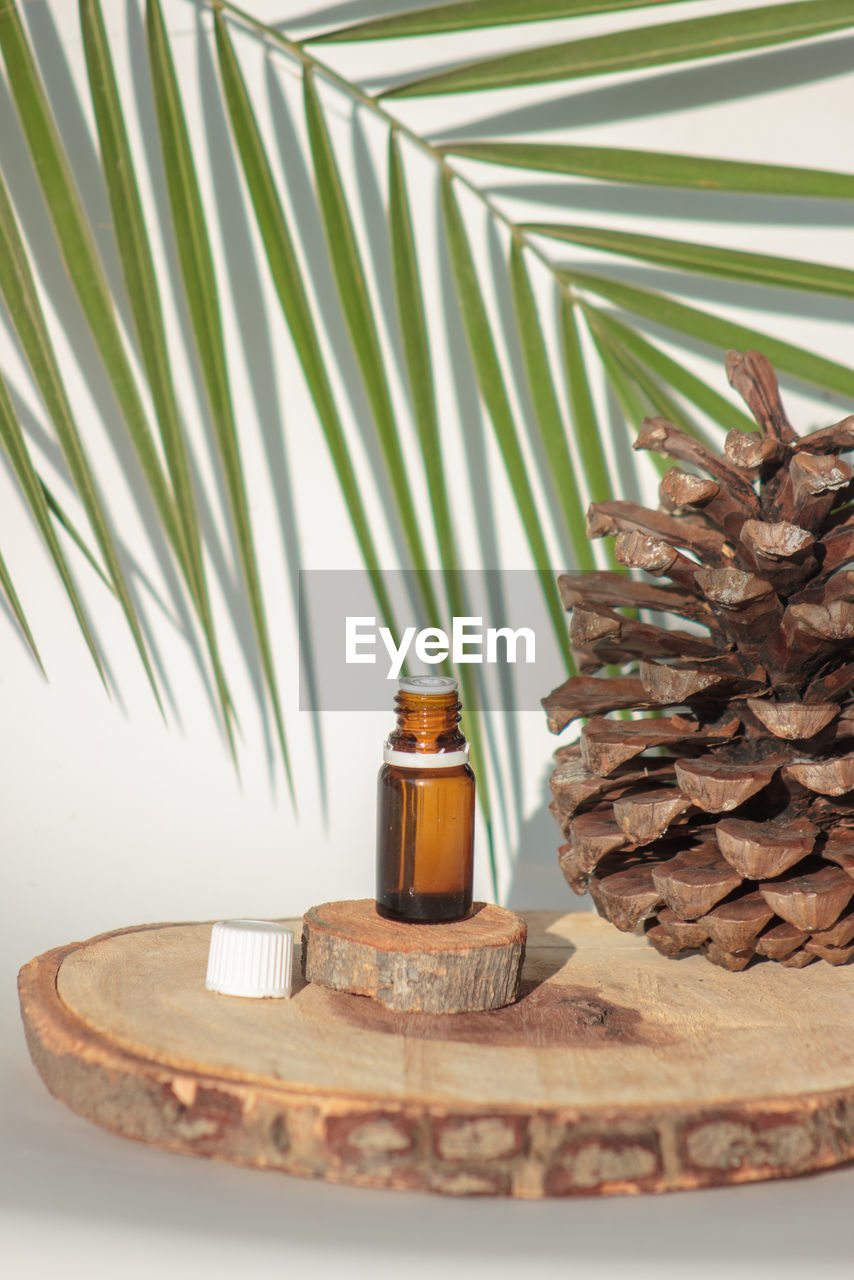 Close-up of pine cone on table