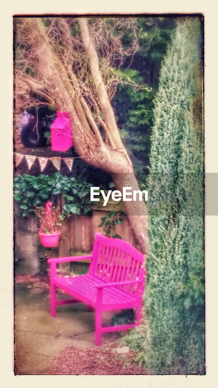 CLOSE-UP OF PINK TREE TRUNK IN BACKGROUND