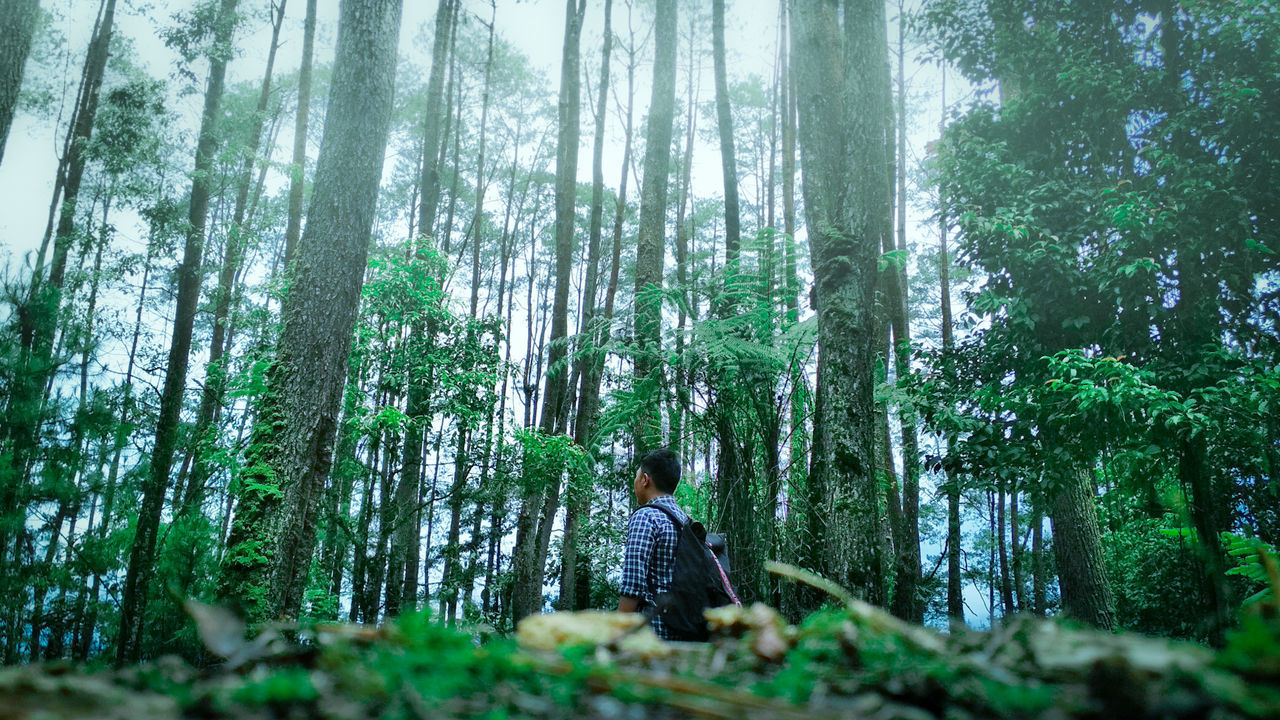 Man standing in forest