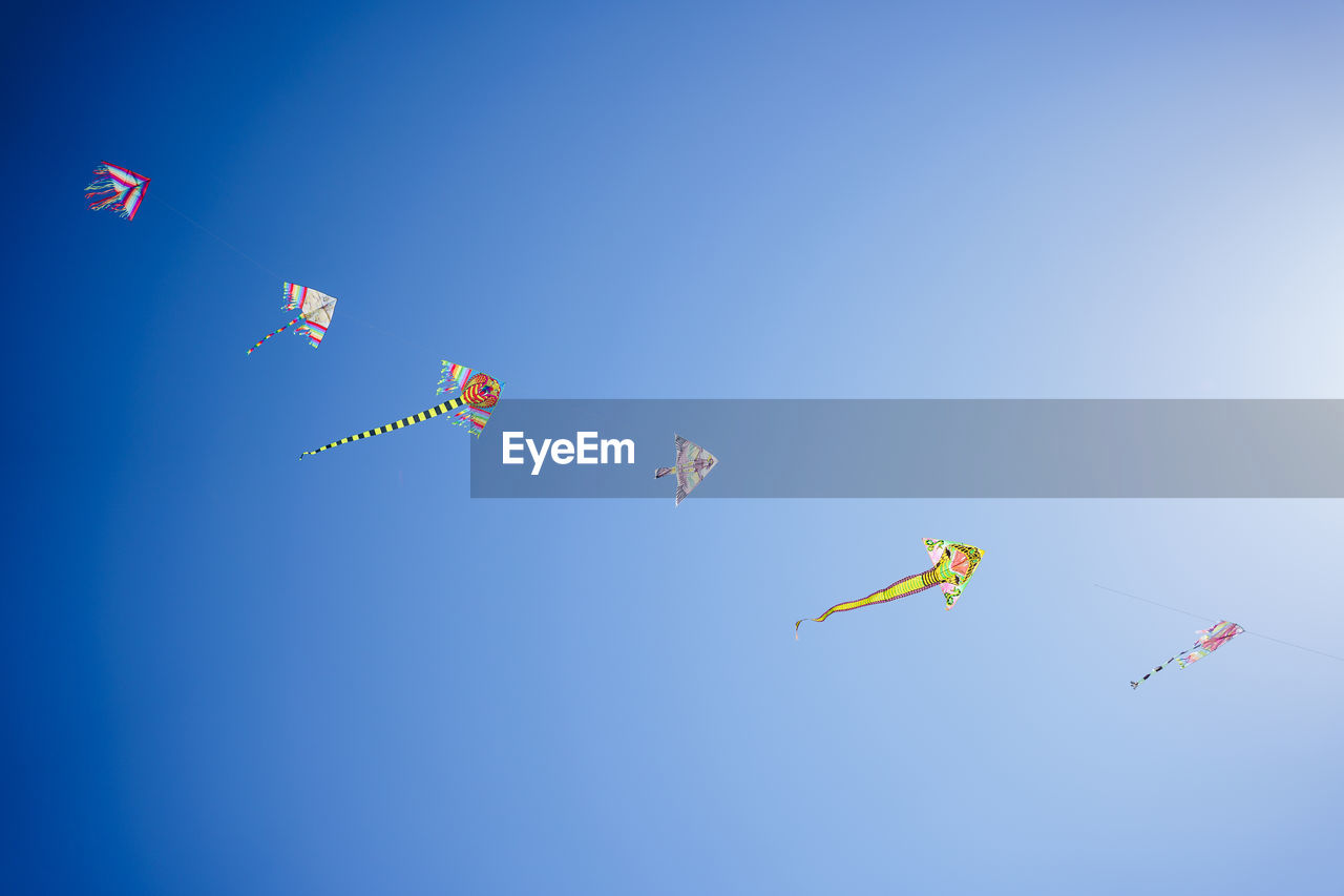 Colorful flying kites in the sky