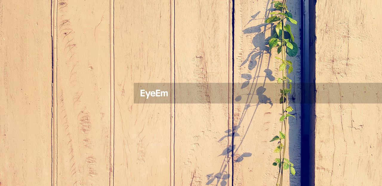 FULL FRAME SHOT OF WALL WITH WOODEN FENCE