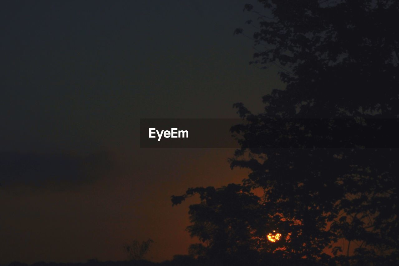 LOW ANGLE VIEW OF SILHOUETTE TREE AGAINST SKY AT SUNSET