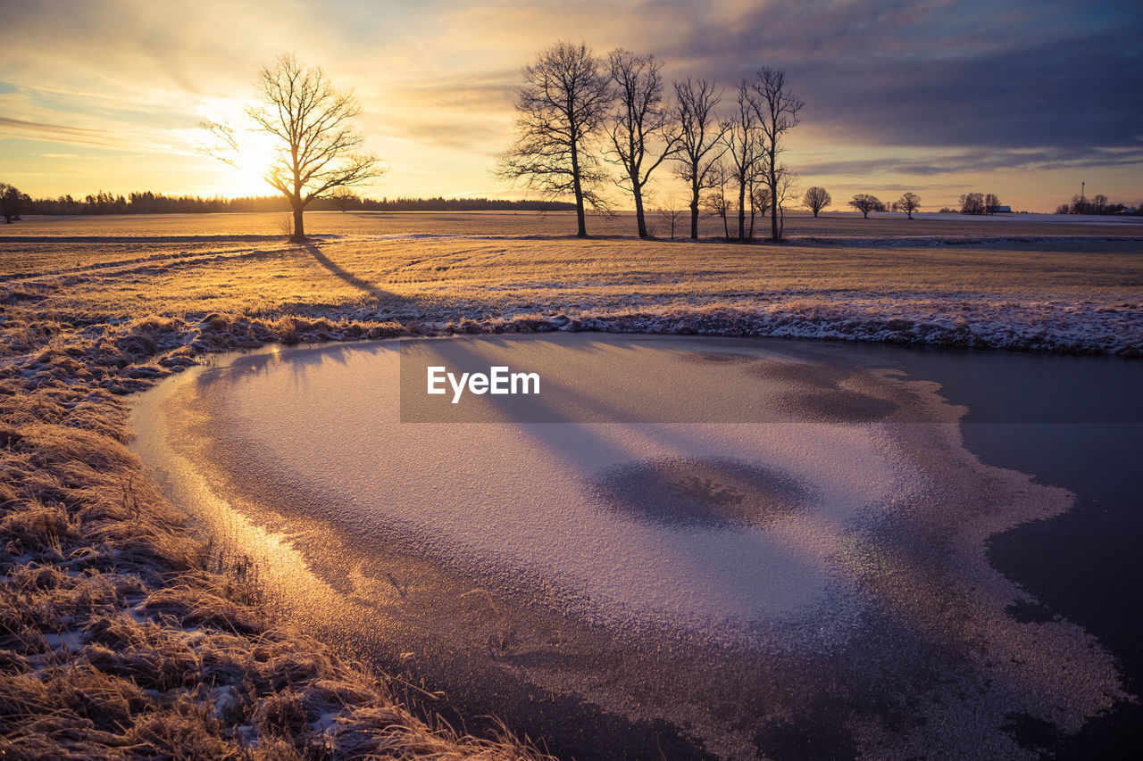 A beautiful frozen pond in the rural scene during the morning golden hour. 