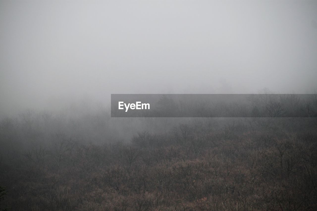 Scenic view of foggy weather against sky during sunrise