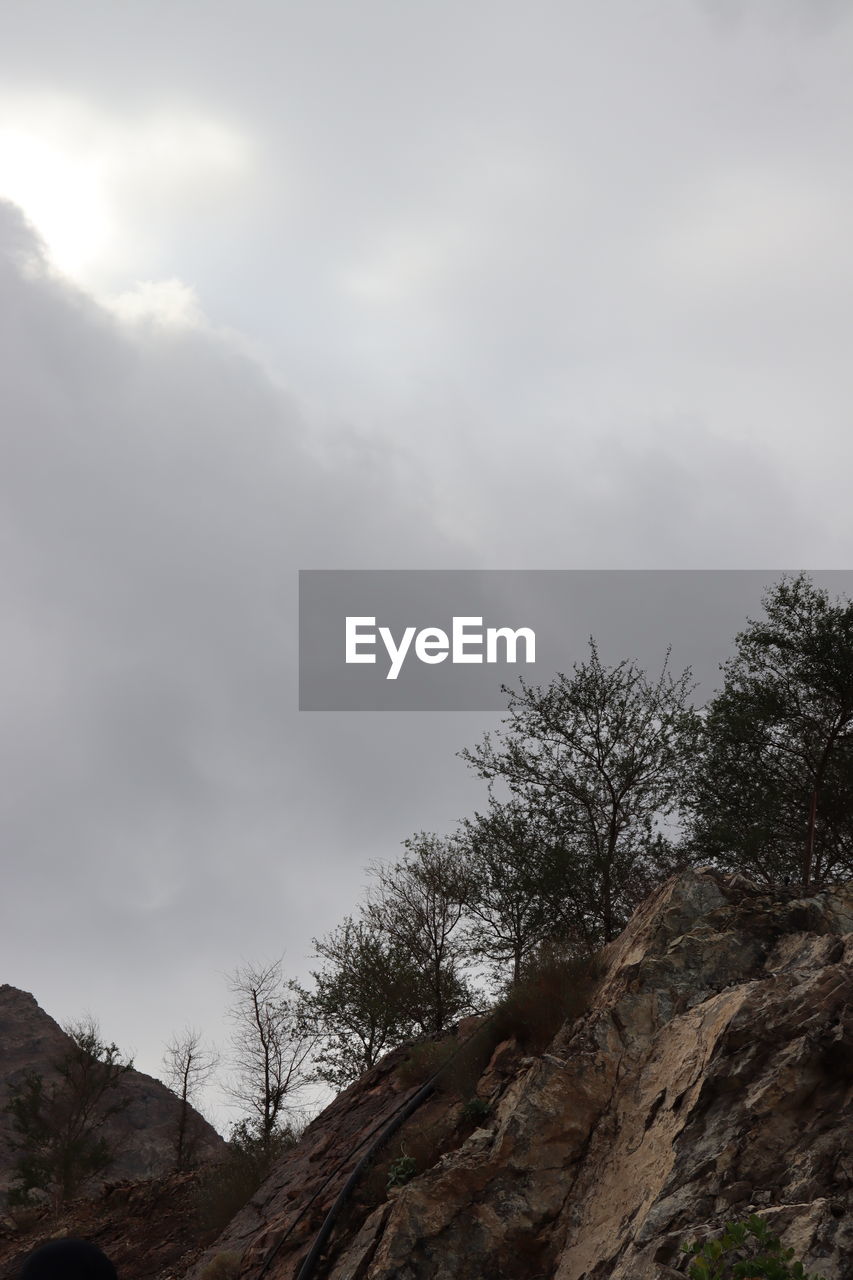 cloud, tree, sky, low angle view, plant, nature, rock, beauty in nature, no people, outdoors, mountain, day, scenics - nature, environment, overcast, non-urban scene, storm, tranquility, pine tree, coniferous tree, land, dramatic sky, pinaceae, forest