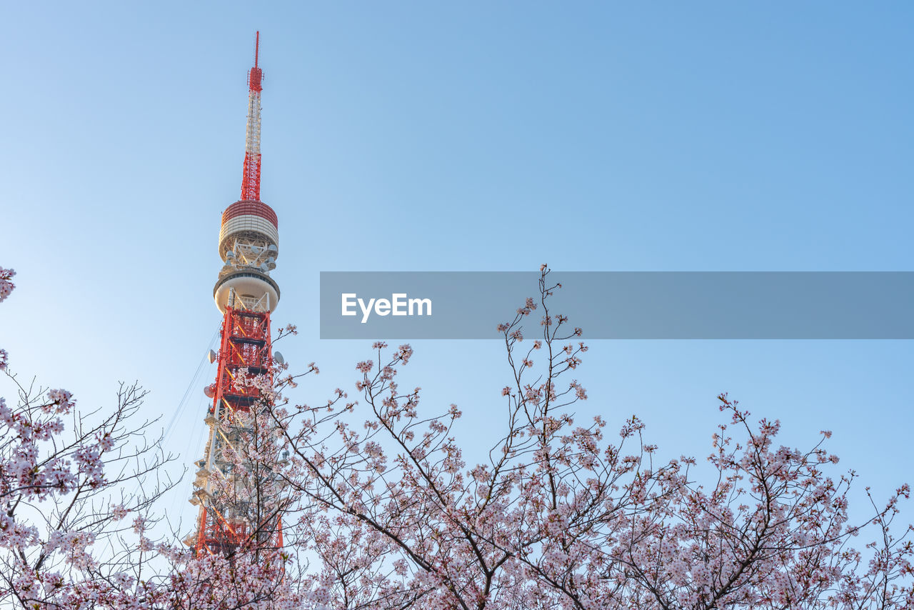 Low angle view of tokyo tower against clear blue sky during sunny day