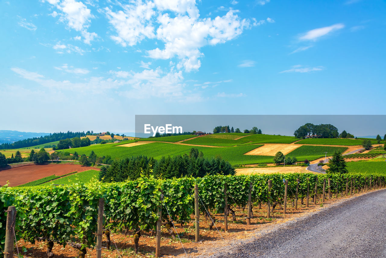 High angle shot of fields against blue sky