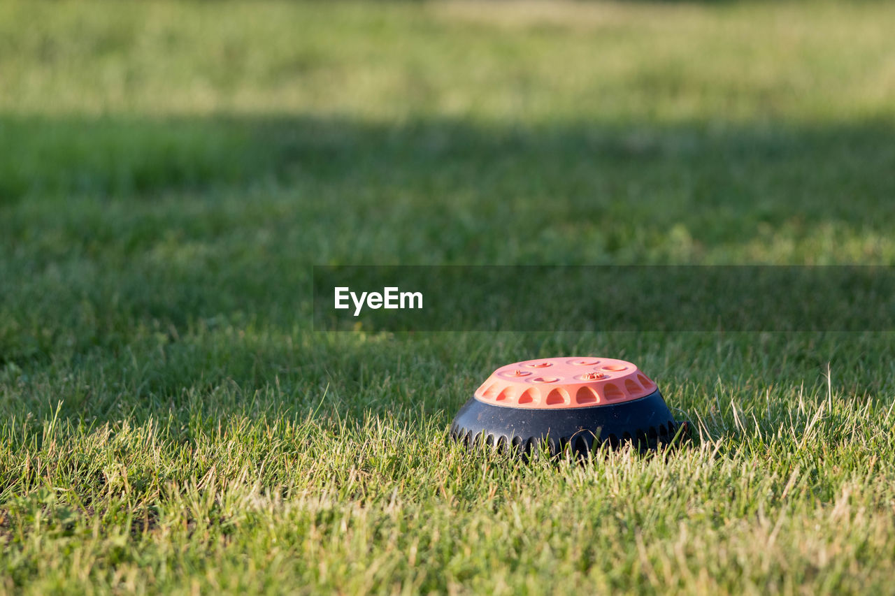 Water sprinkler on a green grass lawn