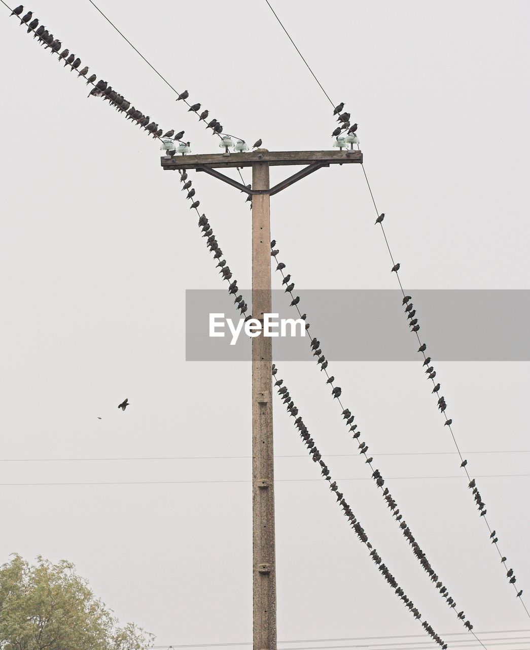 LOW ANGLE VIEW OF CRANE AGAINST CLEAR SKY