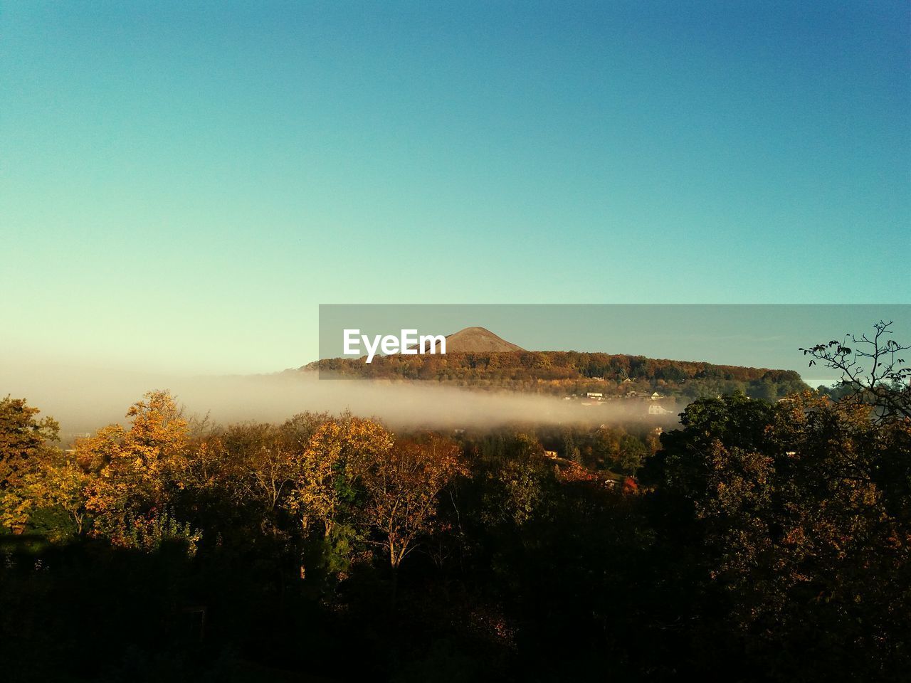 Scenic view of landscape against clear blue sky