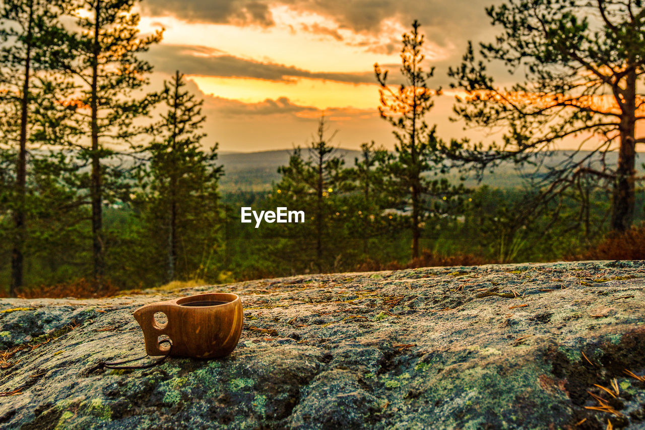 Coffee with a view in rovaniemi finnish lapland