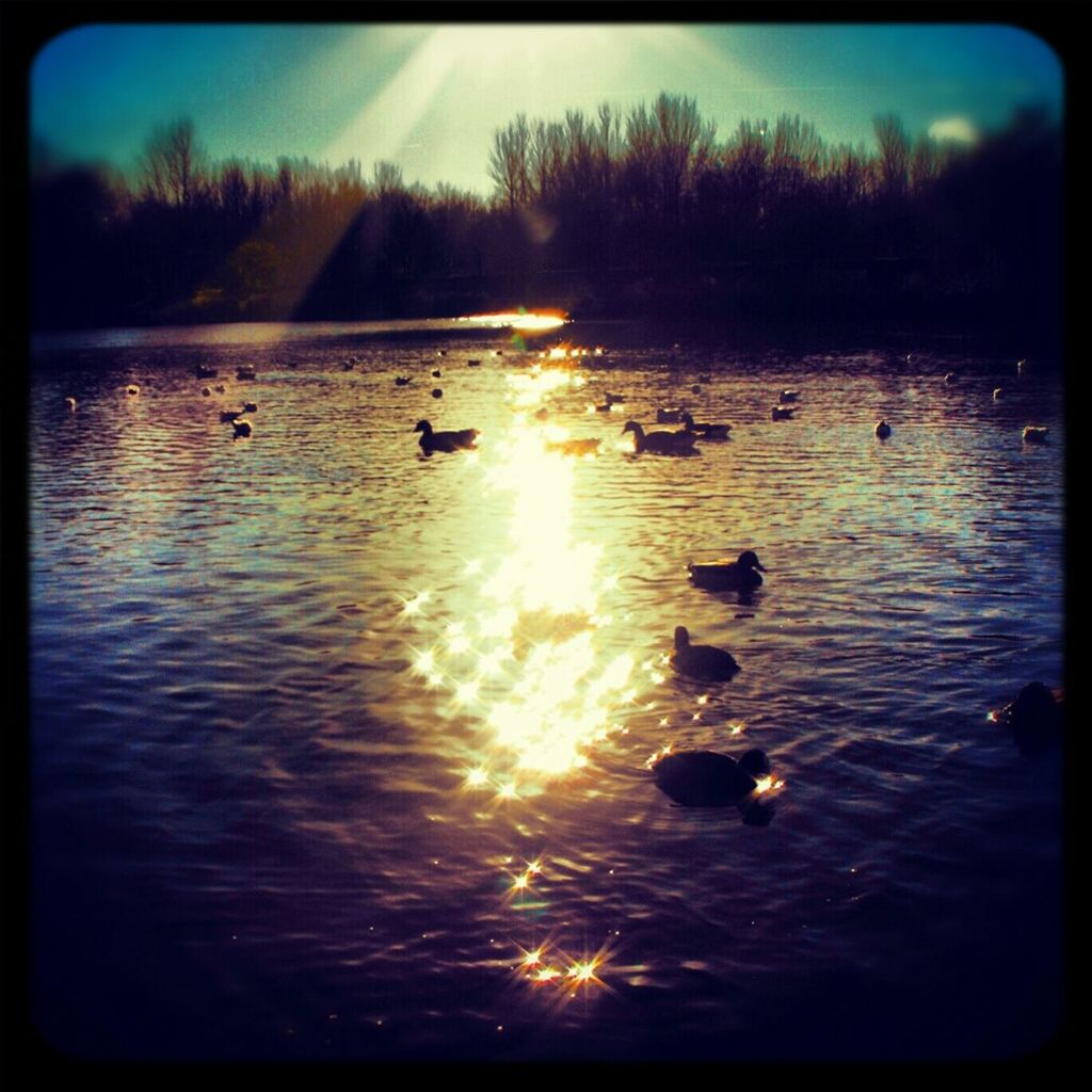 SCENIC VIEW OF LAKE AT SUNSET