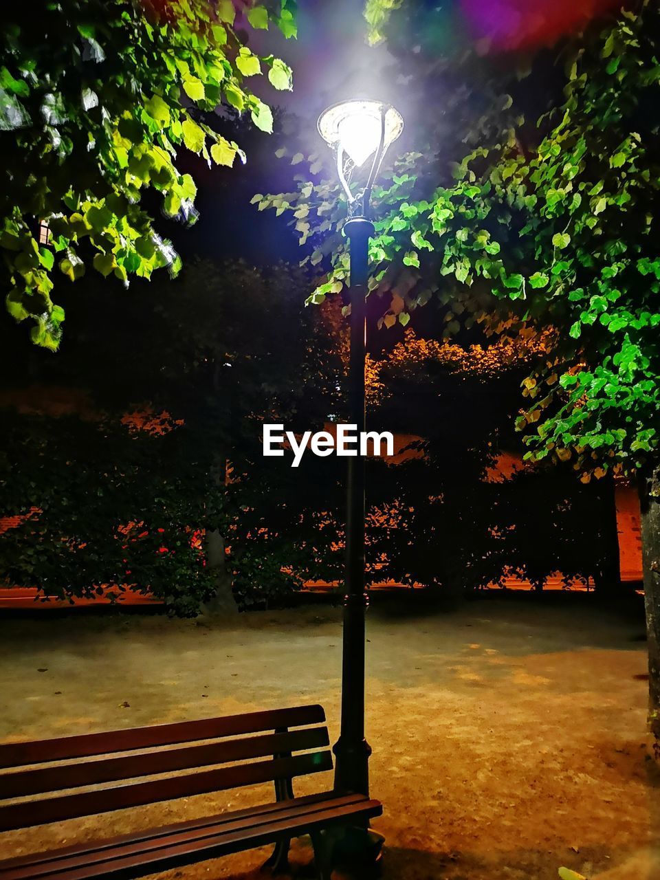 EMPTY BENCH IN PARK