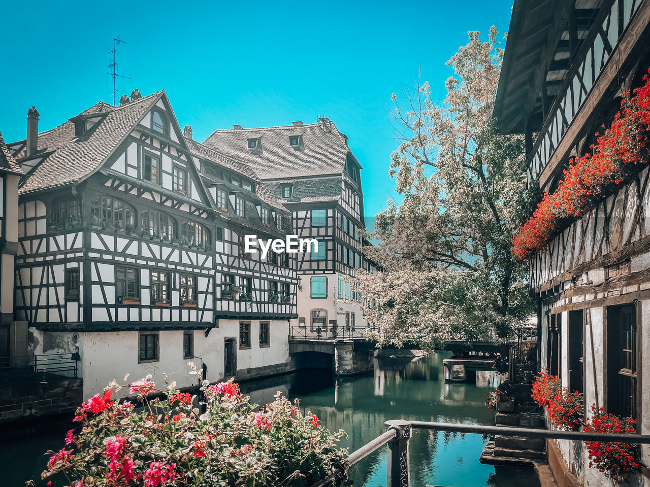 architecture, building exterior, built structure, town, cityscape, plant, nature, flower, urban area, water, building, flowering plant, tourism, city, travel destinations, sky, landmark, tree, canal, waterway, house, residential district, downtown, no people, travel, beauty in nature, neighbourhood, outdoors, day, clear sky, reflection, street, blue, transportation