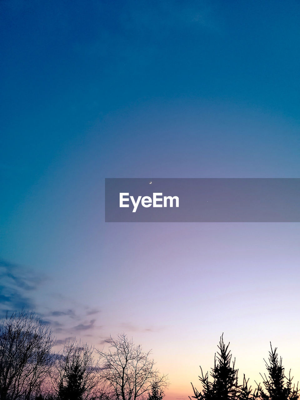 Low angle view of silhouette trees against blue sky