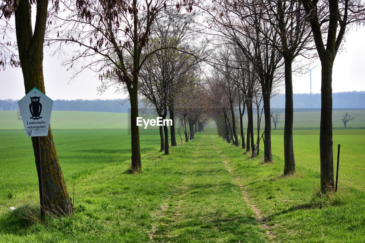 TREES AND PLANTS ON FIELD