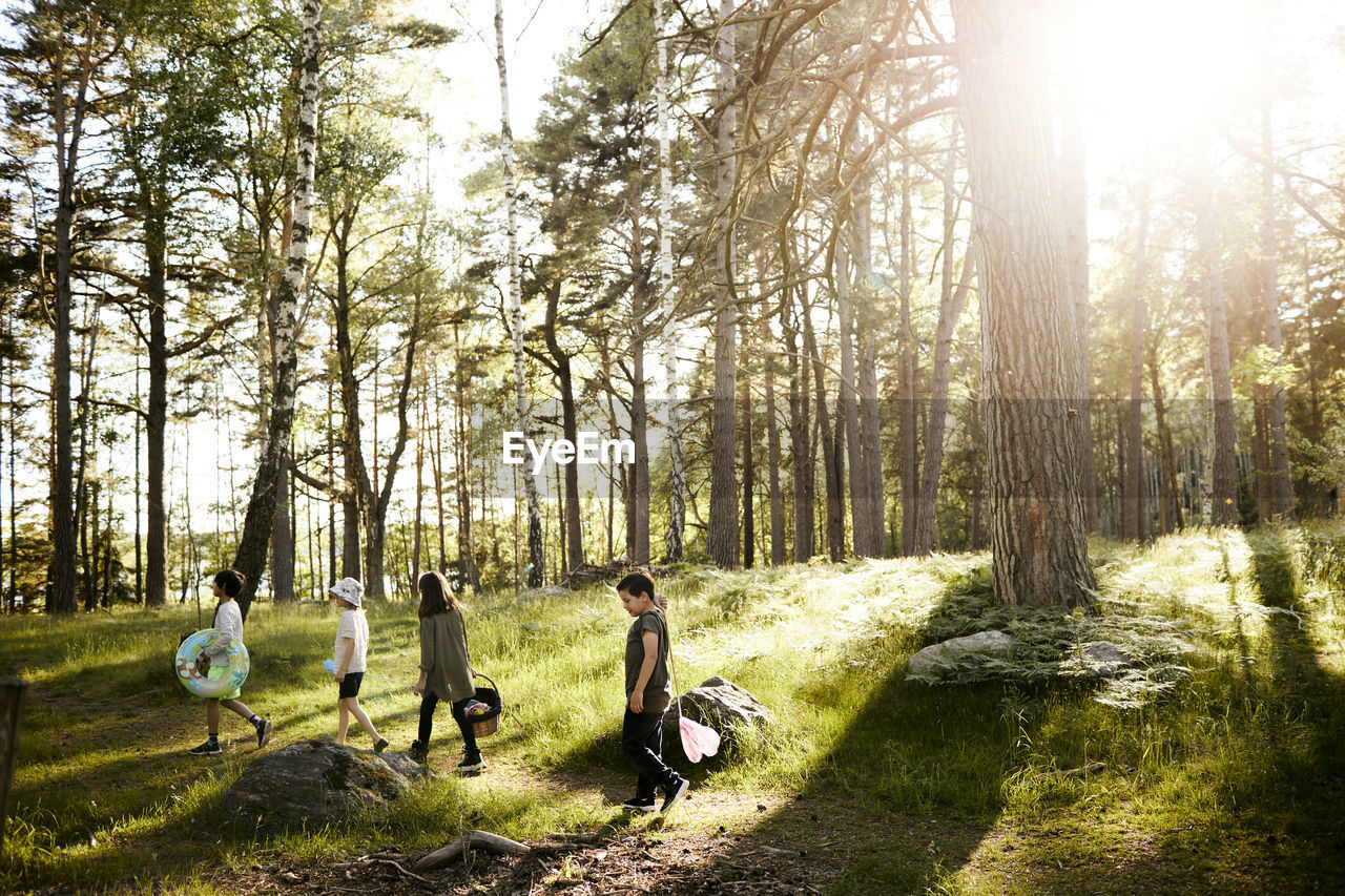 Children walking through forest