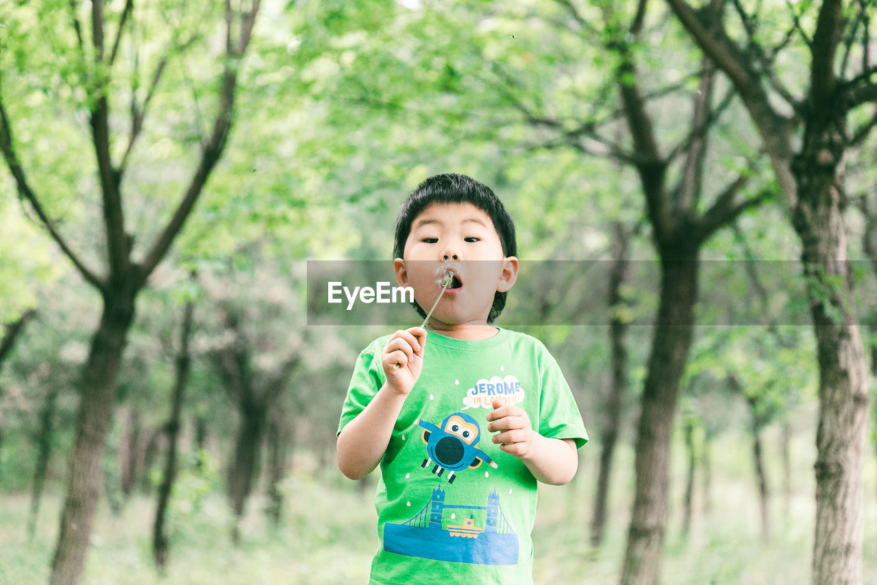 childhood, child, one person, tree, plant, nature, person, men, cute, happiness, food and drink, toddler, emotion, front view, spring, innocence, portrait, casual clothing, smiling, lifestyles, outdoors, land, waist up, green, standing, holding, fun, forest, day, human face, food, focus on foreground, leisure activity, eating, cheerful