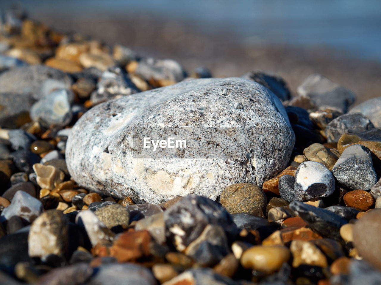 CLOSE UP OF PEBBLES