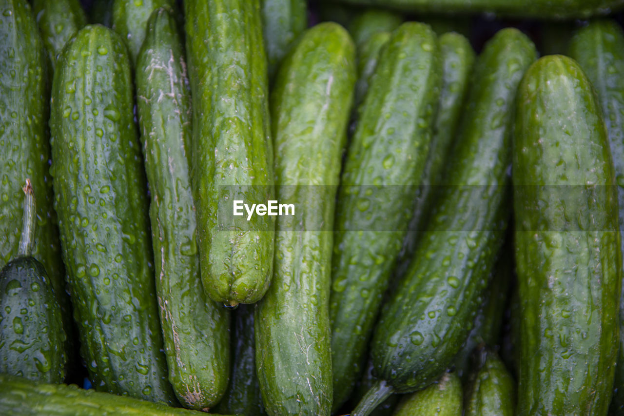 FULL FRAME SHOT OF FRESH GREEN VEGETABLES