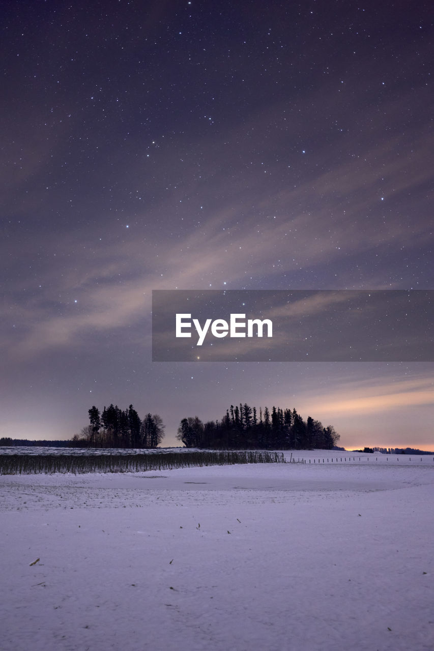 SCENIC VIEW OF TREES AGAINST SKY AT NIGHT DURING WINTER