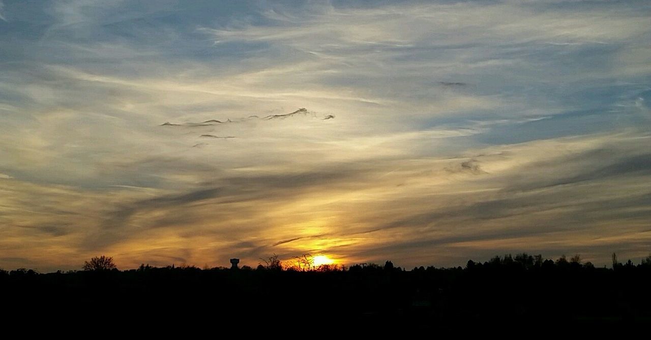 SILHOUETTE TREES AGAINST SKY AT SUNSET