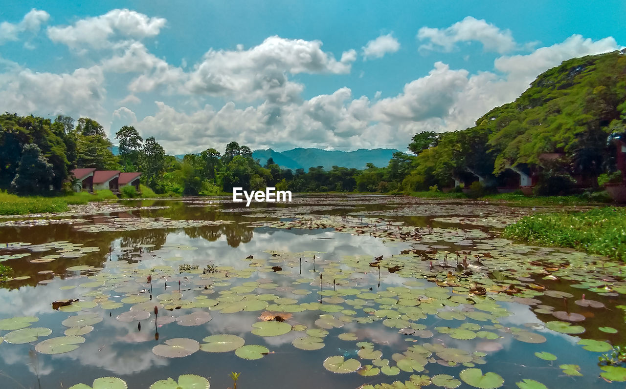 SCENIC VIEW OF LAKE