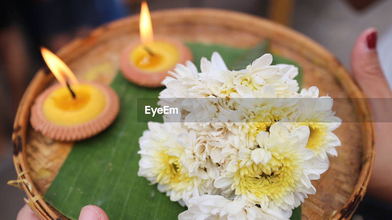 Cropped hands of woman holding flower and diya in plate