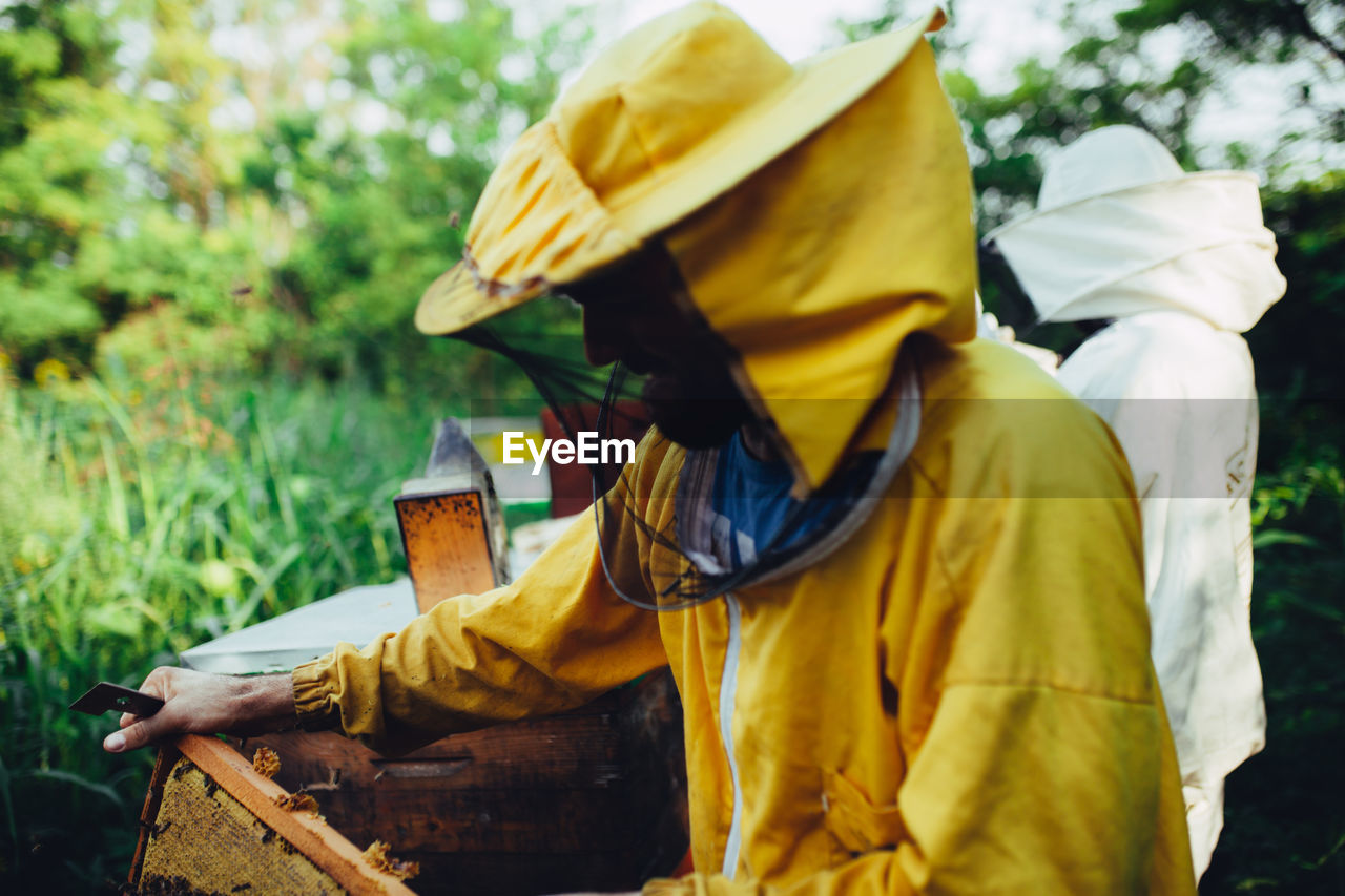 Beekeepers standing by beehives