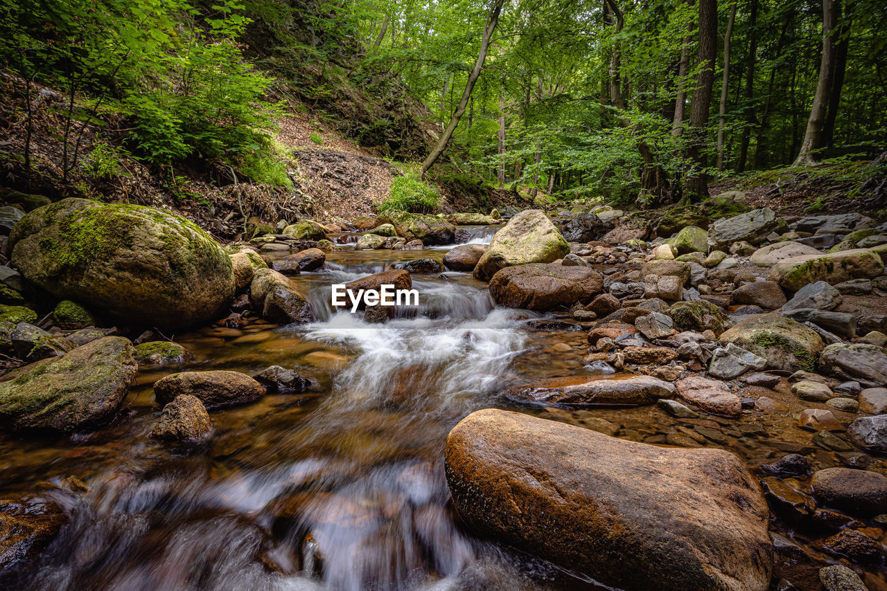 Stream flowing through rocks in forest