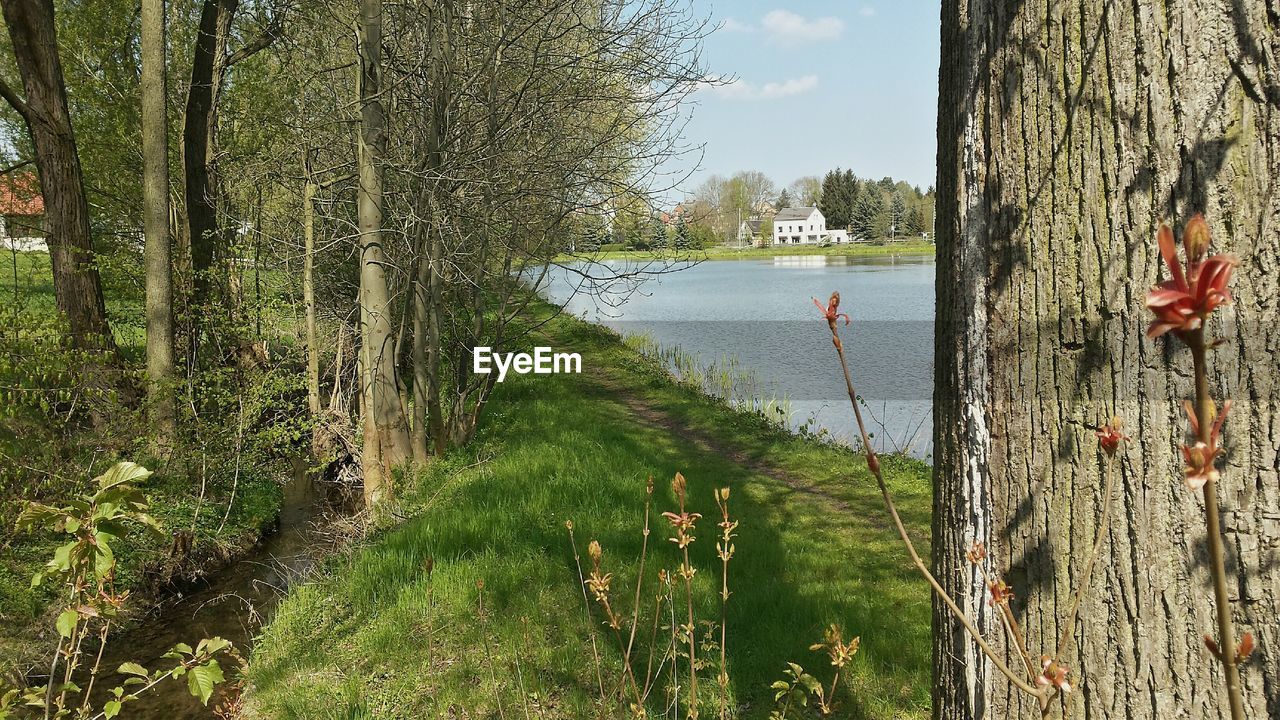 SCENIC VIEW OF LAKE