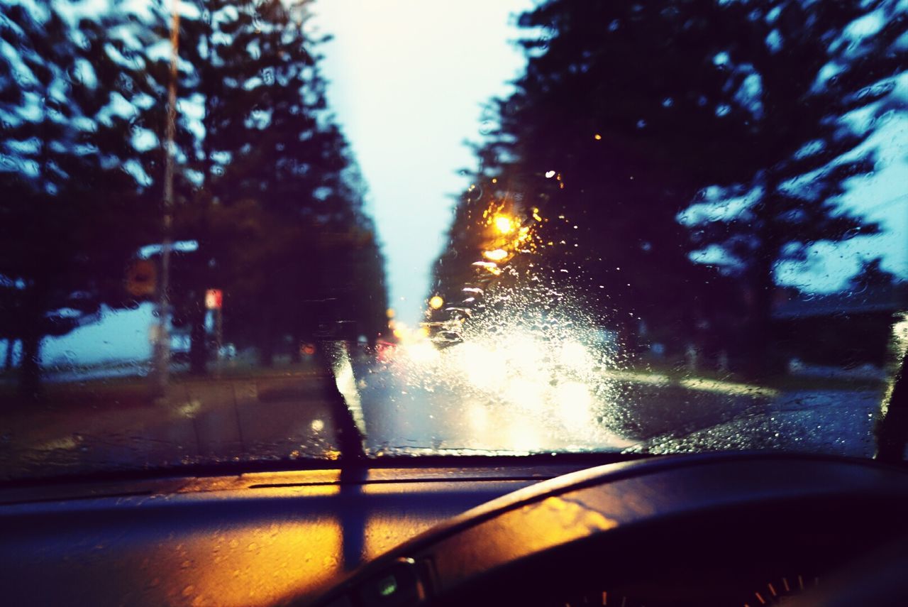 Silhouette trees seen through car windshield at dusk