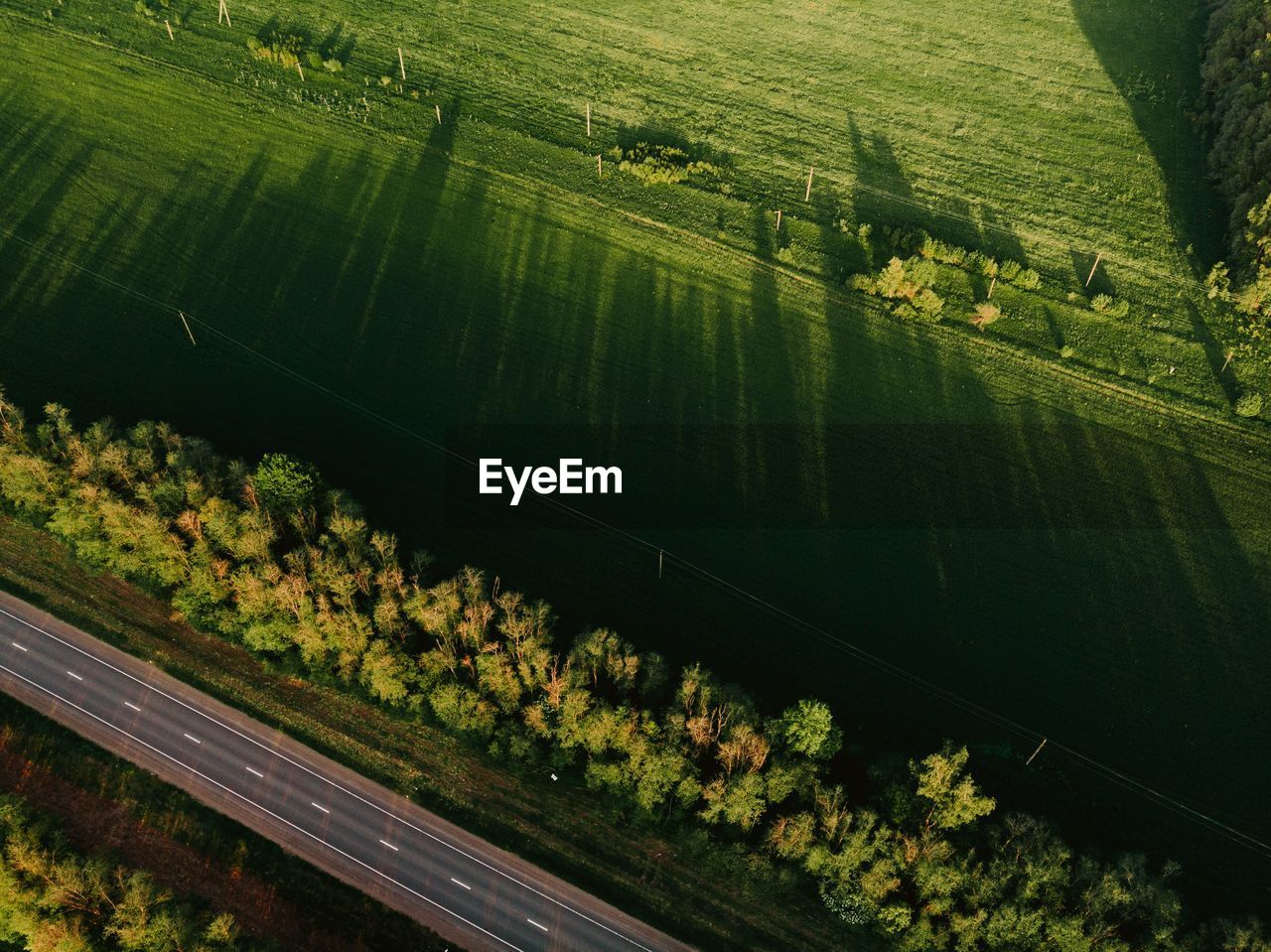 Aerial view of road by agricultural field