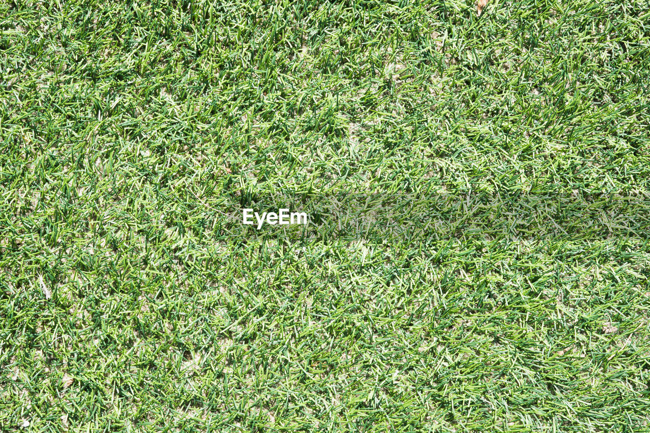 Full frame shot of grass field
