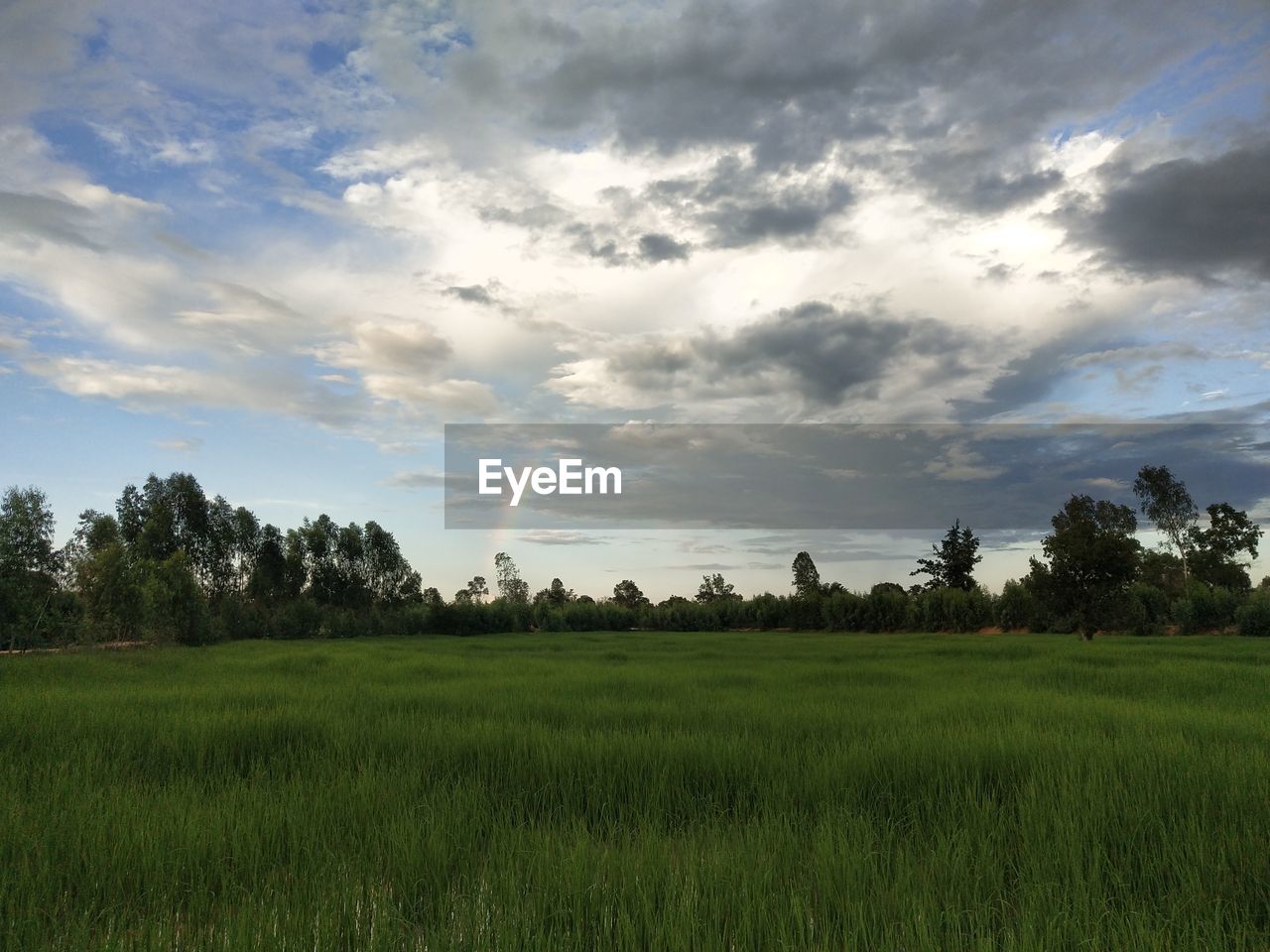 SCENIC VIEW OF FARM FIELD AGAINST SKY