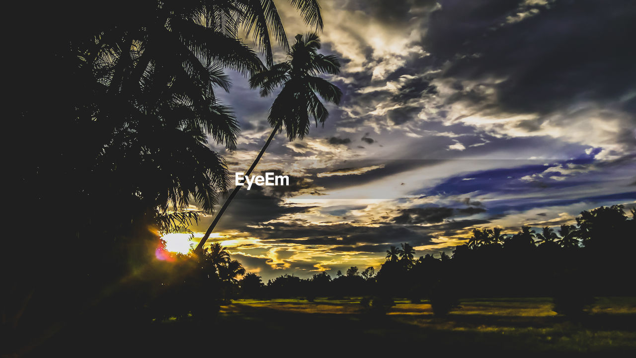 SCENIC VIEW OF SILHOUETTE TREES AGAINST SKY DURING SUNSET